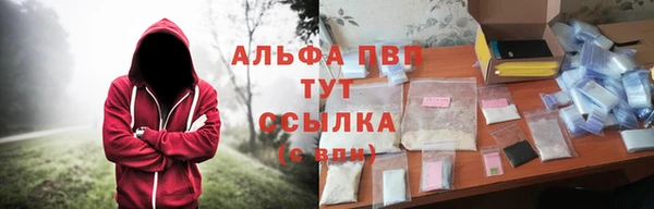 ПСИЛОЦИБИНОВЫЕ ГРИБЫ Балабаново