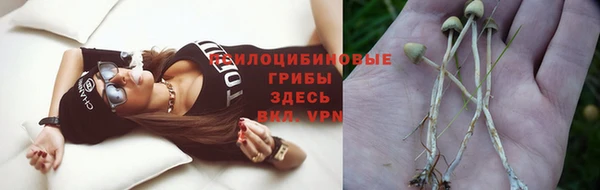 ПСИЛОЦИБИНОВЫЕ ГРИБЫ Балабаново