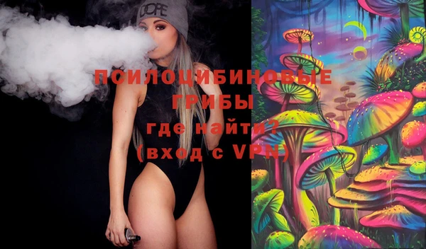 ПСИЛОЦИБИНОВЫЕ ГРИБЫ Балабаново