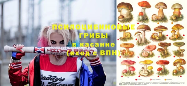 mdpv Баксан